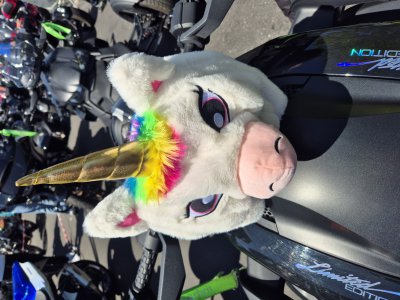 Foto aus dem Album R4G meets Biker4kids